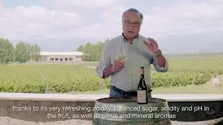 Salentein Single Vineyard Chadonnay (Las Secuoyas) - Subtitulado