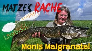 Matzes Rache - Monis Hechte! 🤪😅