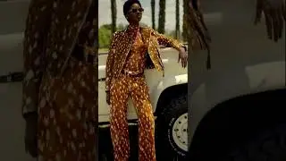 ANIMALE ON THE ROAD | NEW DROP