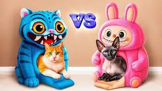 We Build a Secret Room for Pets! Rich Cat vs Poor Cat!