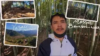 Бамбуковая прогулка Ячули Мосо | Кемпинг &laquo;Язали Сосна&raquo; | Смотровая площадка Язали | Кейи Панёрски...