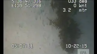 EPA Marine Aquatic Ecosystem Condition Report, SE, Blackford Drain m0516, Coorong