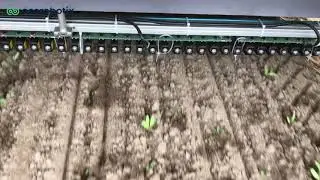 spotspraying  sugarbeet / betterave d&eacute;sherbage ultra-pr&eacute;cis 10sec