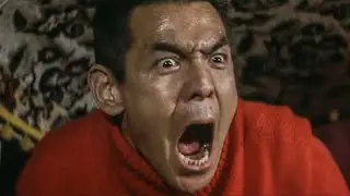 トラック野郎・天下御免 菅原文太 松原智恵子 杉浦直樹 由利徹