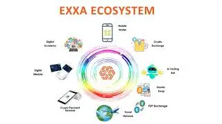TỔNG QUAN CH&Iacute;NH S&Aacute;CH DỰ &Aacute;N EXXA NETWORK