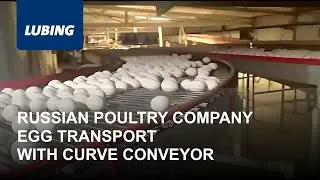Russian Poultry Farm - Egg Transport with Curve Conveyor - LUBING
