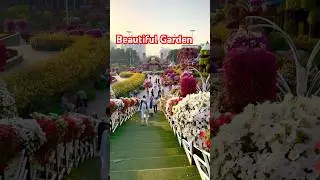 World&rsquo;s Largest Beautiful Miracle Garden 💐 Dubai #miraclegarden