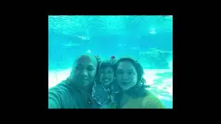 Sea World - Gold Coast, Australia