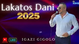 Lakatos Dani 2025 - Igazi Gigolo ( Cover)