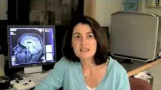 Object Representations in Visual Agnosia