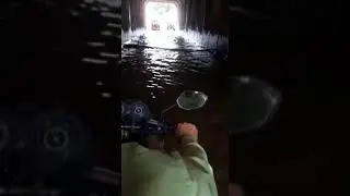 😲😲 chirawa viral video #