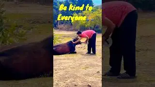 Be a reason for kindness🙏❤️💯 #respect #helping #love #givinghearts