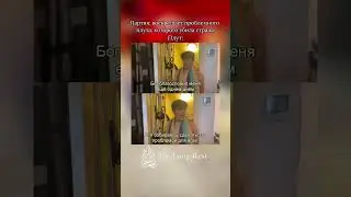 А у вас был такой компаньон?