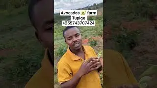 #best #china ,#epl중계 #fruit #tanzania #kenya #funny #artist