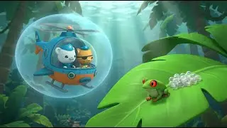 ⚓ Rainforest Emergency! 🐸 Rescue the Red-Eyed Tree Frog Eggs! | Octonauts Full Episode