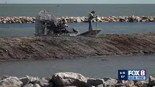 Living shoreline project underway in Bucktown to restore Lake Pontchartrain