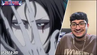 ZANPAKUTO REBELLION ARC!! | Bleach Episode 230 and 231 Reaction