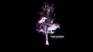 Friends and Enemies - Santa Rosa de Lima (post screamo/post hardcore 2009 full EP)