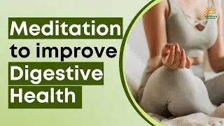 Guided Meditation for Digestive Health I Heal Gut Issues Naturally
