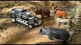 Toy Wild Safari Zoo Animals | Gadi wala cartoon |Dream Toys XYZ|Juguetes खिलौने ألعاب 玩具 Игрушки