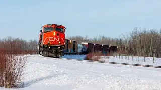 BCOL 4647 Leads CN L556 Down the Lac La Biche Subdivision + Meet with 557!