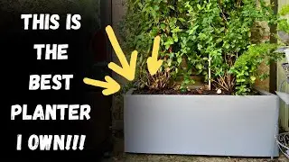 This is my favorite planter that I own!