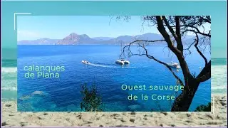 SE BAIGNER DANS LES CALANCHES DE PIANA Plage Ficajola