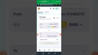 Buy Frm PancakeSwap, Solve The Error, 