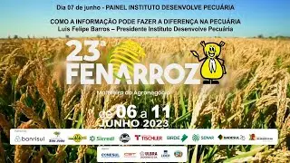 Dia 07 de junho - PAINEL INSTITUTO DESENVOLVE PECU&Aacute;RIA - Luis Felipe Barros