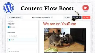 How to add YouTube embed in WordPress (Stream Insert)