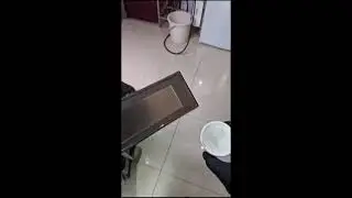 POV Exotic Pet Care | Daily Snake Feeding & Tank Cleaning | No Heavy Commentary