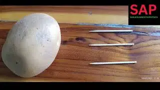 Center of gravity 9th class  balancing fork  interesting experiment