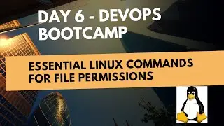 Day 6 : DevOps Engineer’s Command Cheat Sheet - Essential Linux Commands for File Permissions