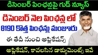 ఏపీలో కొత్త పింఛన్లు మంజూరు|December Pensions Distribution |December Pensions in ap|Ap New Pensions 
