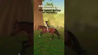 🏇🥰  тг Pretty Channel #horse #starstable