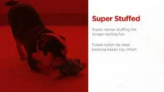 Outward Hound Xtreme Seamz Super Durable Plush Dog Toys
