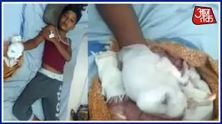 Eleven Year Old Lost His Finger In Mobile Phone Explodes In Sihora Madhya Pradesh