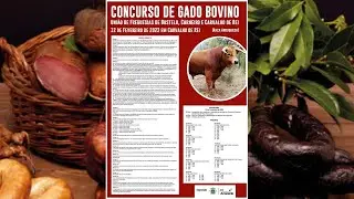 CONCURSO de GADO BOVINO-Feira do Fumeiro-Carvalho de Rei-Amarante-2023