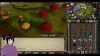 Clues and Crashes | RuneScape UIM | HoardMaster