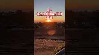 #orb #carlsbad #california #usa #avemaria #flowerfield #sunset