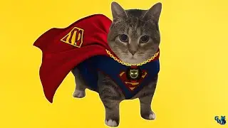 OIIAOIIA - Spinning Cat (ТЕХНО-РЕМИКС) Cat Brainrot - SUPER CAT
