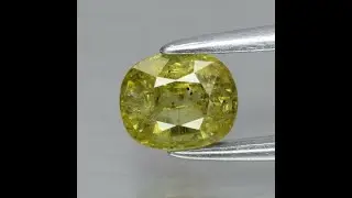 GLC Certified 0.95 Ct Natural Yellowish Green Sapphire Unheated Oval Gem