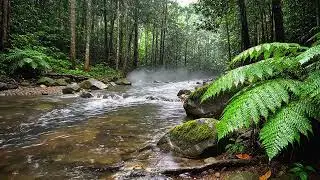 🌧️ Pure Nature Sounds &ndash; Flowing River in Dense Forest (No Music)