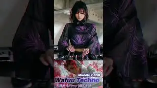 Wafuu Techno Vol.2  | Japanese EDM Mix 2025   #melodictechno #electronicmusic #technomix2025
