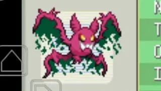 Pokemon Emarld Elite Redux 2.0 - How to The Mega Stone for Crobat (7 badges required)