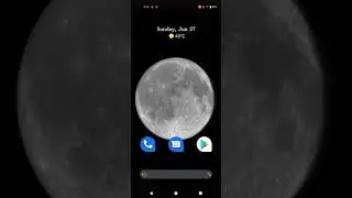 How to disabled color inversion in android devices
