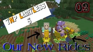 TNP Limitless 5 | Minecraft 1.18.1 | 03 | Chocobo's on the Agenda