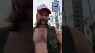 Would you rather be eaten by an Alligator or a bear?