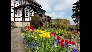 Huis Eimelrod in Willingen-Eimelrod Duitsland