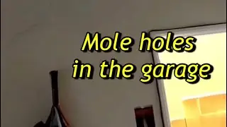 Mole holes. Lighting installation in the garage